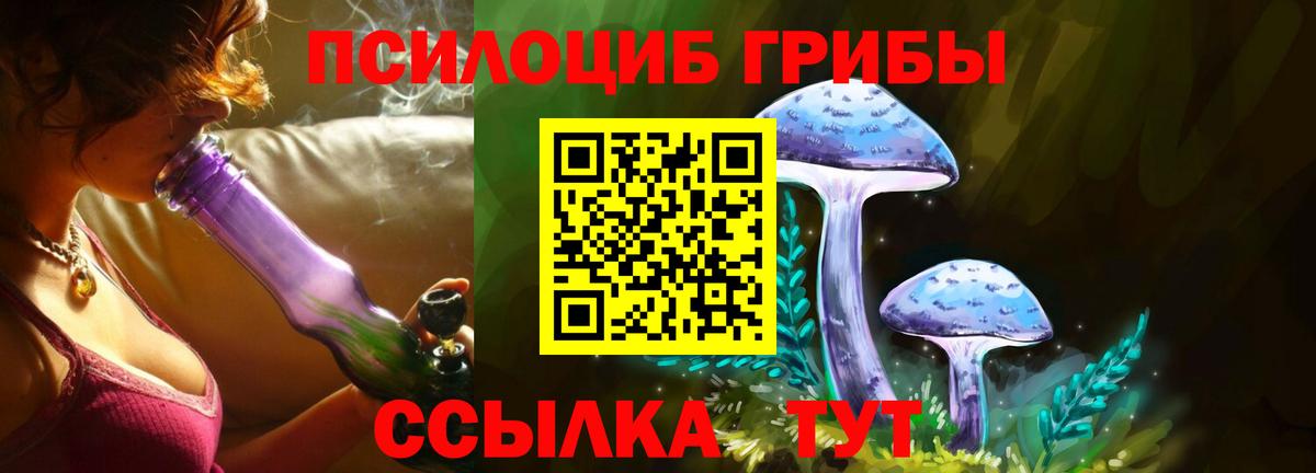 Галлюциногенные грибы Psilocybe  Вход с VPN  Новочебоксарск 