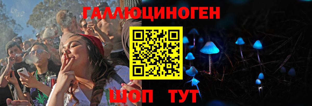 Псилоцибиновые грибы Cubensis Новочебоксарск